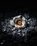 Solar Corona — Specimen R-30